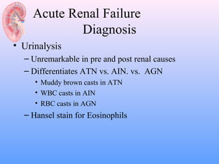 Acute Renal Failure
            Diagnosis
• Urinalysis
  – Unremarkable in pre and post renal causes
  – Differentiates ATN vs. AIN. vs. AGN
     • Muddy brown casts in ATN
     • WBC casts in AIN
     • RBC casts in AGN
  – Hansel stain for Eosinophils
 