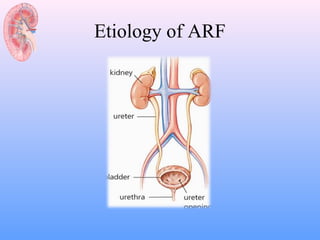 Etiology of ARF
 