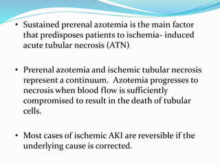 • Sustained prerenal azotemia is the main factor
that predisposes patients to ischemia- induced
acute tubular necrosis (ATN)
• Prerenal azotemia and ischemic tubular necrosis
represent a continuum. Azotemia progresses to
necrosis when blood flow is sufficiently
compromised to result in the death of tubular
cells.
• Most cases of ischemic AKI are reversible if the
underlying cause is corrected.
 