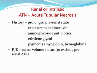 Renal or Intrinsic
ATN – Acute Tubular Necrosis
• History – prolonged pre-renal state
-- exposure to nephrotoxin
aminoglycoside antibiotics
ethylene glycol
pigments (myoglobin, hemoglobin)
• P/E – assess volume status (to exclude pre-
renal AKI)
 