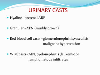 URINARY CASTS
 Hyaline –prerenal ARF
 Granular –ATN (muddy brown)
 Red blood cell casts –glomerulonephritis,vasculitis
malignant hypertension
 WBC casts- AIN, pyelonephritis ,leukemic or
lymphomatous infiltrates
 