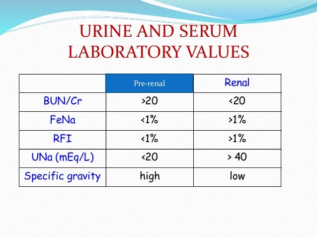 Acute Renal Failure Arf