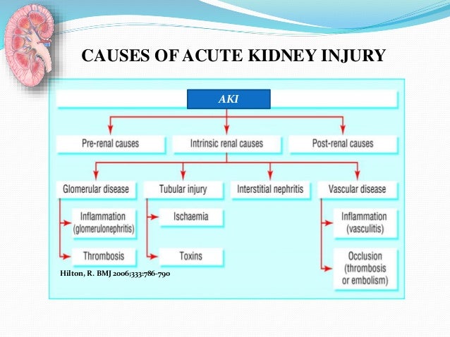 acute renal failure arf 6 638