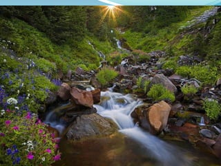 Acute renal failure by dr. rafique