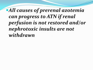 All causes of prerenal azotemia
can progress to ATN if renal
perfusion is not restored and/or
nephrotoxic insults are not
withdrawn
 