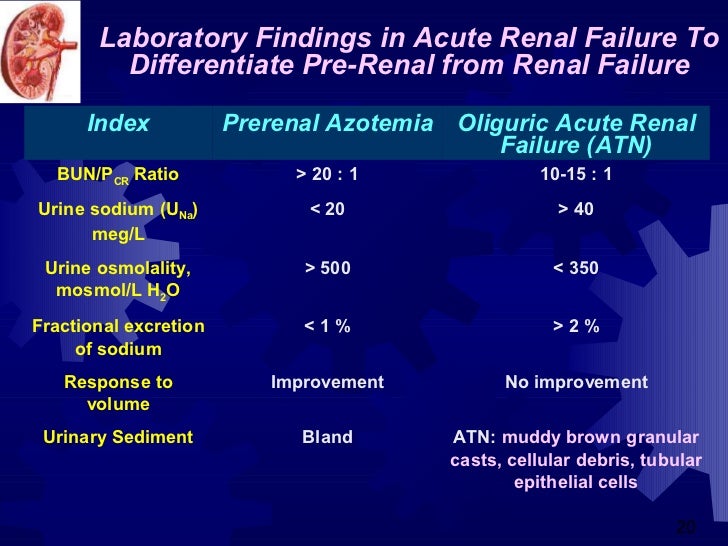 Acute renal failure in icu..
