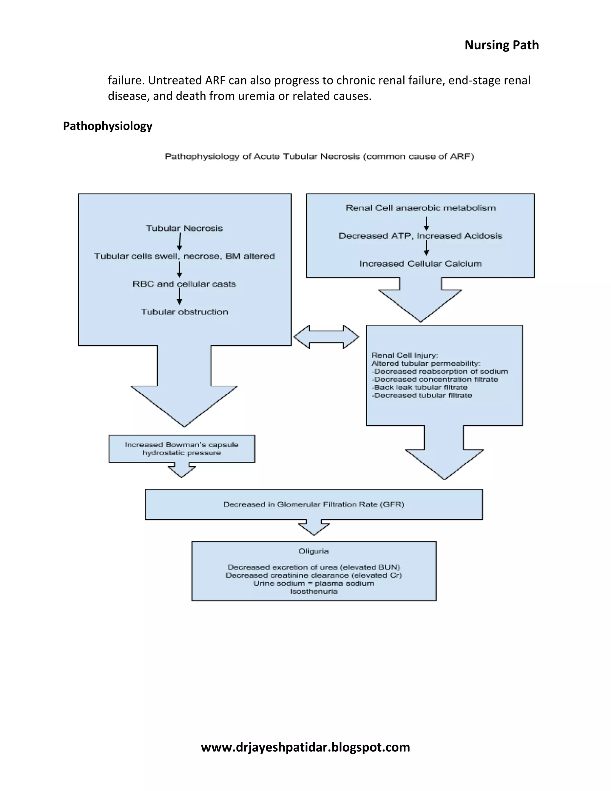 Acute renal failure nursing care plan & management | PDF