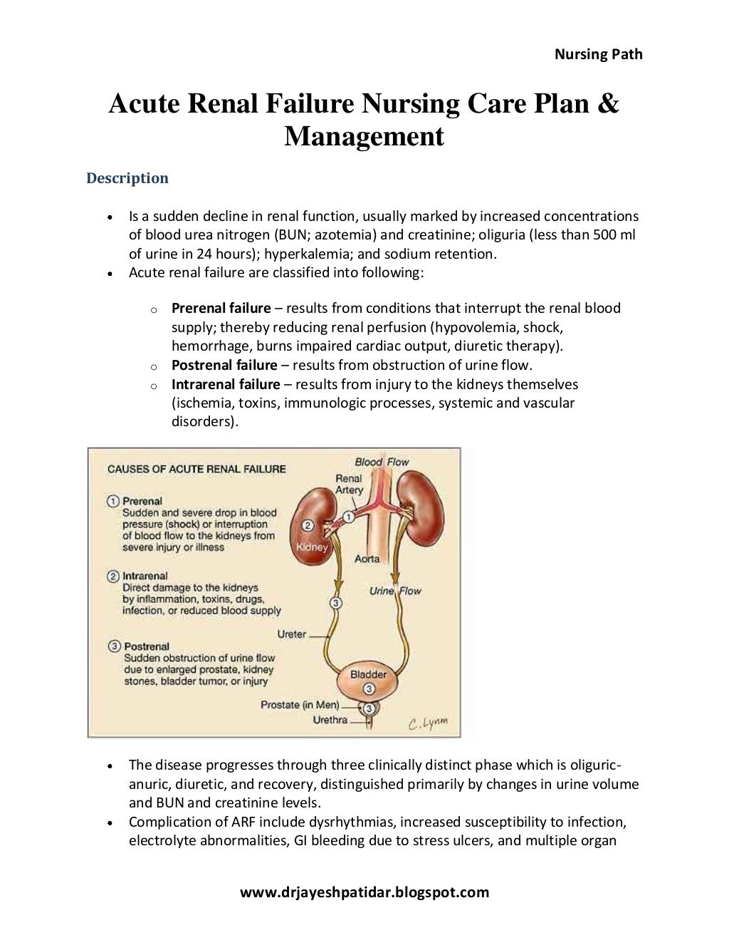 Acute renal failure nursing care plan & management