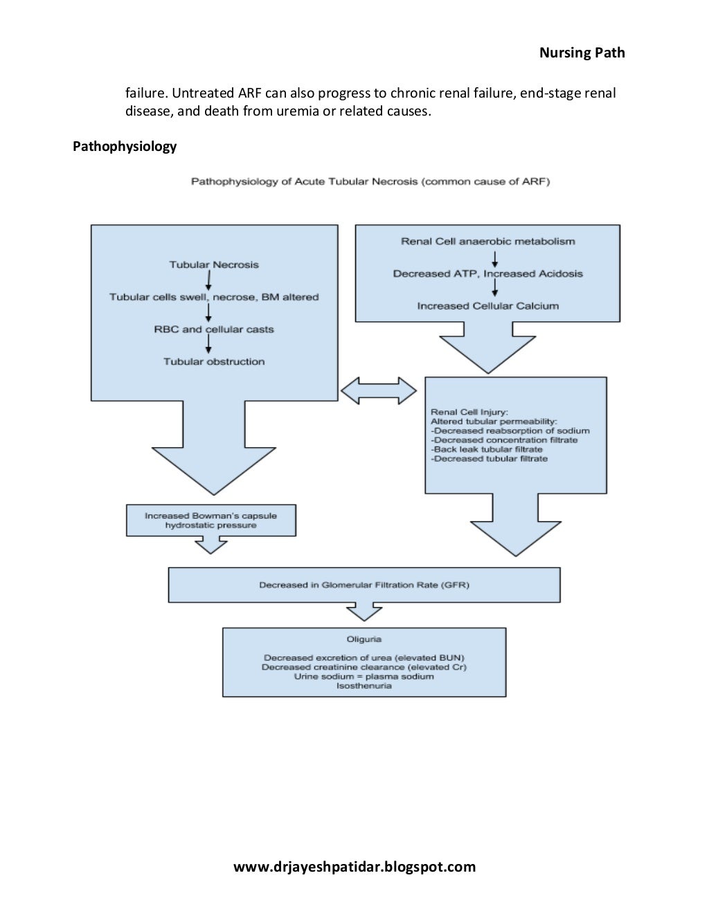 Acute renal failure nursing care plan & management