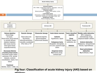 Acute renal injury.pptx