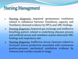 Nursing Management
1. Nursing diagnosis: Impaired spontaneous ventilation
related to imbalance between Ventilatory capacity and
Ventilatory demand evidence by SPO2 and ABG findings.
2. Nursing diagnosis: Impaired gas exchange and ineffective
breathing pattern related to underlying diseases process
and artificial airway and ventilator system abnormal ABG
findings and respiratory rate .
3. Nursing diagnosis: Ineffective airway clearance related to
increased mucus production associated with continuous
positive-pressure mechanical ventilation evidence by
wheezes and crackles sounds in lungs.
 