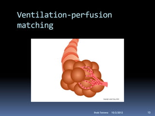 Ventilation-perfusion
matching




                Ihab Tarawa   10/2/2012   13
 