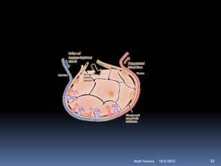 Ihab Tarawa   10/2/2012   32
 