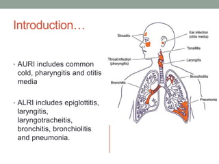 Introduction…
• AURI includes common
cold, pharyngitis and otitis
media
• ALRI includes epiglottitis,
laryngitis,
laryngotracheitis,
bronchitis, bronchiolitis
and pneumonia.
 