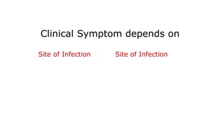 Clinical Symptom depends on
Site of Infection Site of Infection
 