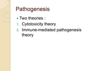 Pathogenesis
 Two theories :
1. Cytotoxicity theory
2. Immune-mediated pathogenesis
theory
 