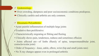  Epidemiology
 Over crowding, dampness and poor socioeconomic conditions predispose.
 Clinically carditis and arthritis are only common.
 Rheumatic Polyarthritis
• Acute painful inflammation of multiple large joints
• Exudative then proliferative
• Characteristically migrating or flitting and fleeting
• Clinically shows pain, tenderness, redness and sometimes effusion
• Joints affected are—of limbs (Rarely of spine, temperomandibular joint,
costoclavicular joint)
• Order of frequency—knee, ankle, elbow, wrist (hip and small joints rare)
• No X-ray changes appear even in prolonged arthritis
 