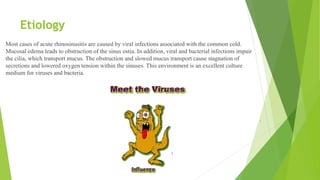 Etiology
Most cases of acute rhinosinusitis are caused by viral infections associated with the common cold.
Mucosal edema leads to obstruction of the sinus ostia. In addition, viral and bacterial infections impair
the cilia, which transport mucus. The obstruction and slowed mucus transport cause stagnation of
secretions and lowered oxygen tension within the sinuses. This environment is an excellent culture
medium for viruses and bacteria.
 