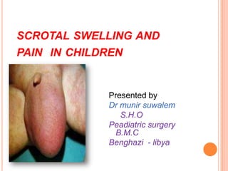SCROTAL SWELLING AND
PAIN IN CHILDREN


             Presented by
             Dr munir suwalem
                S.H.O
             Peadiatric surgery
              B.M.C
             Benghazi - libya
 