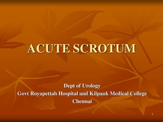 ACUTE SCROTUM
Dept of Urology
Govt Royapettah Hospital and Kilpauk Medical College
Chennai
1
 