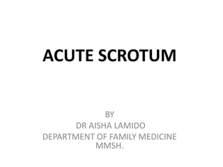 ACUTE SCROTUM
BY
DR AISHA LAMIDO
DEPARTMENT OF FAMILY MEDICINE
MMSH.
 