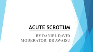 ACUTE SCROTUM
BY DANIEL DAVID
MODERATOR: DR AWAISU
 