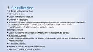 Acute scrotum & Testicular tortion Management in PHC.pptx