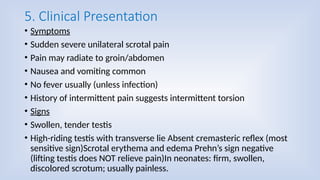 Acute scrotum & Testicular tortion Management in PHC.pptx