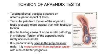 ACUTE SCROTUM POWER POINT PRESENTATION.pptx