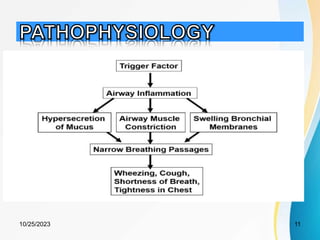• Bronchospasm
• Edema and inflammation
• Mucus production
10/25/2023 11
 