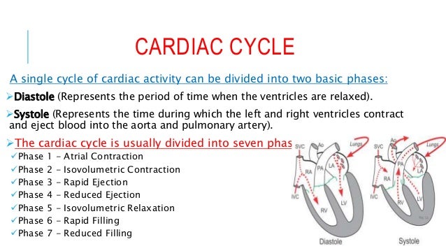 Cardiac Cycle Made Easy - 