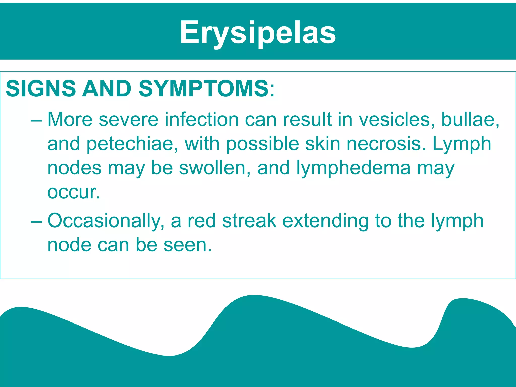 SIGNS AND SYMPTOMS:
– More severe infection can result in vesicles, bullae,
and petechiae, with possible skin necrosis. Lymph
nodes may be swollen, and lymphedema may
occur.
– Occasionally, a red streak extending to the lymph
node can be seen.
Erysipelas
 