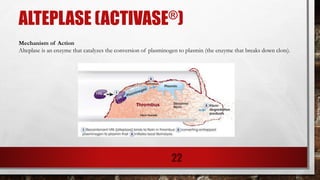 ALTEPLASE (ACTIVASE®)
Mechanism of Action
Alteplase is an enzyme that catalyzes the conversion of plasminogen to plasmin (the enzyme that breaks down clots).
22
 