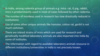 ,
In India, among rodentia group of animals e.g. mice. rat, G.pig, rabbit,
mice is predominantly used in most of cases followed by other rodentia.
The number of monkeys used in research has now drastically reduced in
institutions.
Use of some other unique animals like hamster, cotton rat, gerbil is not
much common.
There are inbred strains of mice which are used for research and
genetically modified laboratory animals are also imported into India by
some of institutes.
The information with regard to available laboratory animals resource in
different institutions/universities in India is not precisely known.
 