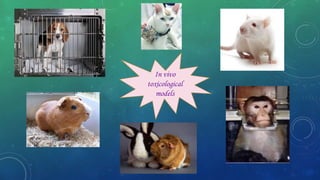 In vivo
toxicological
models
 
