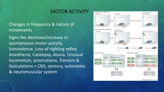 MOTOR ACTIVITY
Changes in frequency & nature of
movements
Signs like decrease/increase in
spontaneous motor activity,
Somnolence, Loss of righting reflex,
Anesthesia, Catalepsy, Ataxia, Unusual
locomotion, prostrations, Tremors &
fasiculations = CNS, sensory, autonomic
& neuromuscular system
 