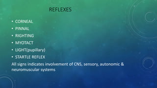 REFLEXES
• CORNEAL
• PINNAL
• RIGHTING
• MYOTACT
• LIGHT(pupillary)
• STARTLE REFLEX
All signs indicates involvement of CNS, sensory, autonomic &
neuromuscular systems
 