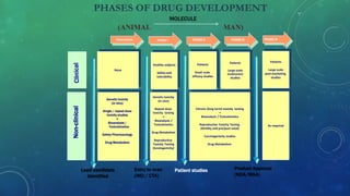 PHASES OF DRUG DEVELOPMENT
(ANIMAL MAN)
PHASE III PHASE IV
PHASE I
PHASE IPRECLINICAL PHASE II
Product Approval
(NDA/MAA)
Patient studiesEntry to man
(IND / CTA)
None
Healthy subjects
Safety and
tolerability
Genetic toxicity
(in vivo)
Repeat dose
toxicity testing
+
Bioanalysis /
Toxicokinetics
Drug Metabolism
Reproductive
Toxicity Testing
(teratogenicity)
Patients
Small scale
efficacy studies
Patients
Large scale
multicentre
studies
Chronic (long term) toxicity testing
+
Bioanalysis / Toxicokinetics
Reproductive Toxicity Testing
(fertility and pre/post natal)
Carcinogenicity studies
Drug Metabolism
Patients
Large scale
post-marketing
studies
As required
Genetic toxicity
(in vitro)
Single / repeat dose
toxicity studies
+
Bioanalysis /
Toxicokinetics
Safety Pharmacology
Drug Metabolism
Lead candidate
Identified
Non-clinical
MOLECULE
 