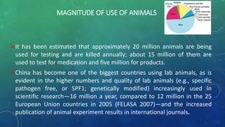 MAGNITUDE OF USE OF ANIMALS
It has been estimated that approximately 20 million animals are being
used for testing and are killed annually; about 15 million of them are
used to test for medication and five million for products.
China has become one of the biggest countries using lab animals, as is
evident in the higher numbers and quality of lab animals (e.g., specific
pathogen free, or SPF1; genetically modified) increasingly used in
scientific research—16 million a year, compared to 12 million in the 25
European Union countries in 2005 (FELASA 2007)—and the increased
publication of animal experiment results in international journals.
 