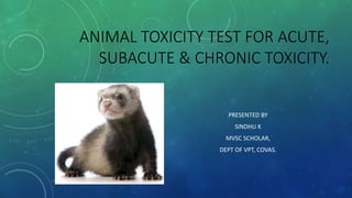 ANIMAL TOXICITY TEST FOR ACUTE,
SUBACUTE & CHRONIC TOXICITY.
PRESENTED BY
SINDHU K
MVSC SCHOLAR,
DEPT OF VPT, COVAS.
 