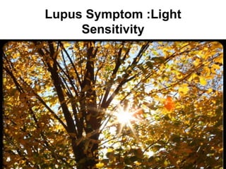 Lupus Symptom :Light
     Sensitivity
 