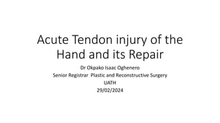 Acute Tendon injury of the
Hand and its Repair
Dr Okpako Isaac Oghenero
Senior Registrar Plastic and Reconstructive Surgery
UATH
29/02/2024
 