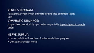 VENOUS DRAINAGE:
Paratonsillar vein which ultimate drains into common facial
vein
LYMPHATIC DRAINAGE:
Upper deep cervical lymph nodes especially jugulodigastric lymph
node
NERVE SUPPLY:
• Lesser palatine Branches of sphenopalatine ganglion
• Glossopharyngeal nerve
 