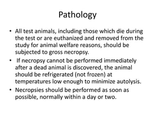 Pathology
• All test animals, including those which die during
the test or are euthanized and removed from the
study for animal welfare reasons, should be
subjected to gross necropsy.
• If necropsy cannot be performed immediately
after a dead animal is discovered, the animal
should be refrigerated (not frozen) at
temperatures low enough to minimize autolysis.
• Necropsies should be performed as soon as
possible, normally within a day or two.
 
