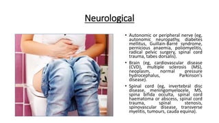 Neurological
• Autonomic or peripheral nerve (eg,
autonomic neuropathy, diabetes
mellitus, Guillain-Barré syndrome,
pernicious anaemia, poliomyelitis,
radical pelvic surgery, spinal cord
trauma, tabes dorsalis).
• Brain (eg, cardiovascular disease
(CVD), multiple sclerosis (MS),
neoplasm, normal pressure
hydrocephalus, Parkinson's
disease).
• Spinal cord (eg, invertebral disc
disease, meningomyelocele, MS,
spina bifida occulta, spinal cord
haematoma or abscess, spinal cord
trauma, spinal stenosis,
spinovascular disease, transverse
myelitis, tumours, cauda equina).
 