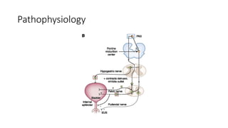 Pathophysiology
 