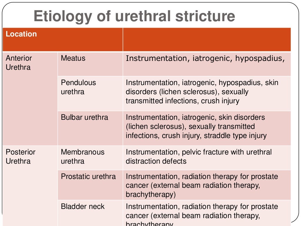 Acute urinary retention atila ppt