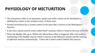 PHYSIOLOGY OF MICTURITION
• The micturition reflex is an autonomic spinal cord reflex which can be facilitated or
inhibited by centers in the cerebral cortex of brain stem.
• Normal micturition has a central control in the pons that is known as the Barrington’s
Nucleus.
• It also has a spinal control centre called Onuf’s nucleus which is found at the area of S2-S4.
• When the bladder fills up to 300mls the Micturition reflex is triggered. This will result in
contracting of the bladder muscle which is known as the Detrusor muscle and the relaxing
of sphincter muscles automatically. Unless the Central control inhibits this process.
 