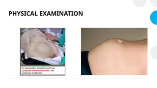 PHYSICAL EXAMINATION
 