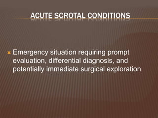 ACUTE SCROTAL CONDITIONS
 Emergency situation requiring prompt
evaluation, differential diagnosis, and
potentially immediate surgical exploration
 
